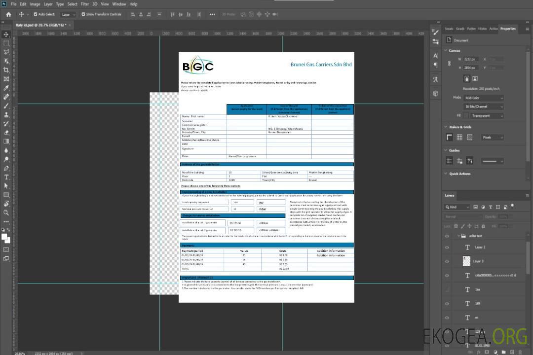 Modèle de facture de services publics de gaz de Brunei Gas Carriers au format Word et PDF template